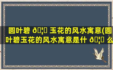 圆叶碧 🦅 玉花的风水寓意(圆叶碧玉花的风水寓意是什 🦁 么)
